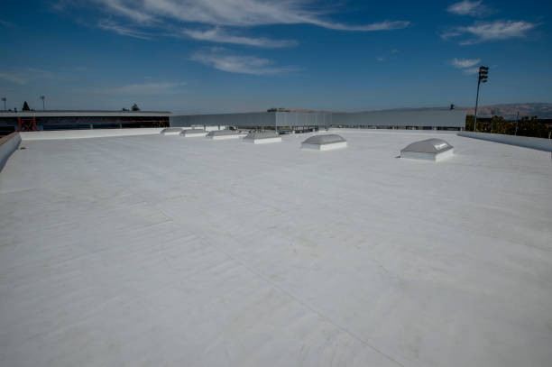 Best Skylight Installation and Repair  in Mayo, SC