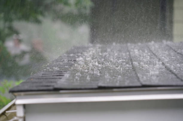 Best Roof Coating and Sealing  in Mayo, SC