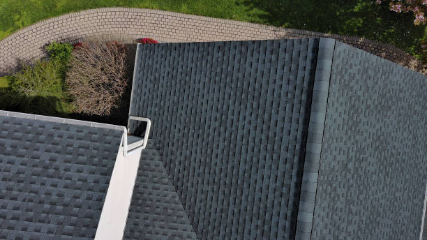Best Roof Moss and Algae Removal  in Mayo, SC