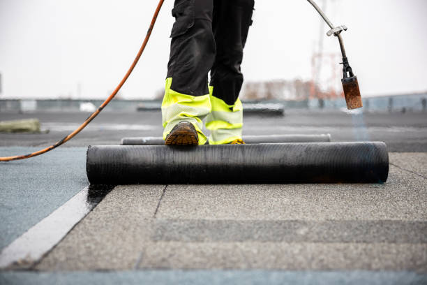 Best Metal Roofing Installation  in Mayo, SC
