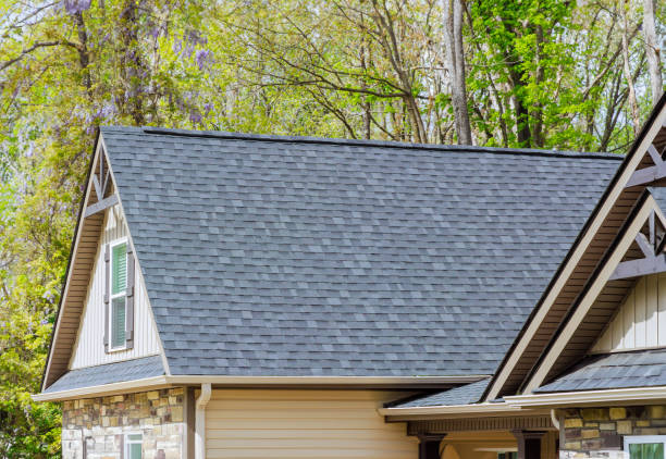 Best Gutter Installation and Repair  in Mayo, SC