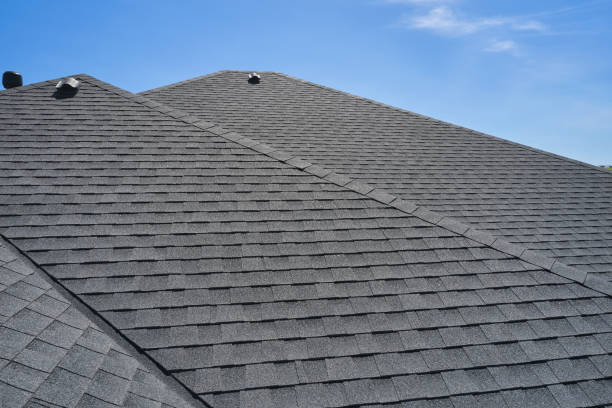 Best Solar Panel Roofing Installation  in Mayo, SC